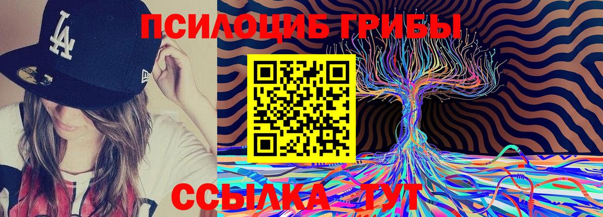 Горно-Алтайск  Псилоцибиновые грибы Psilocybe  Вход с VPN 